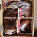 Sea Frozen Indian Ocean Squid For Sale to Processing Factory